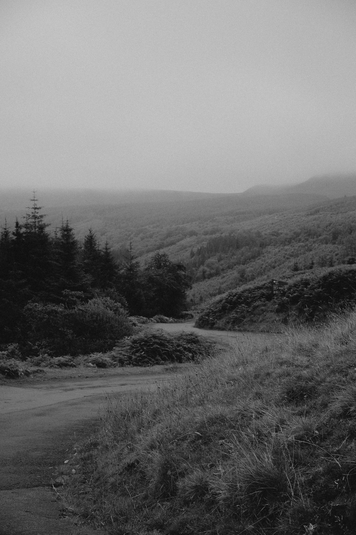 Photo 20-07-2024, 12 32 49